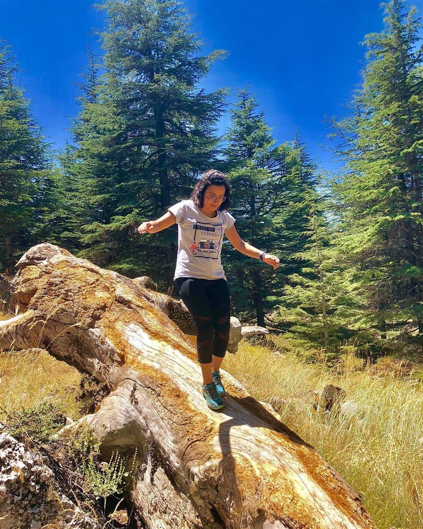 Balance is not something you find,it's something you create.💚📸: @yarrow1 (The Cedars of Lebanon)