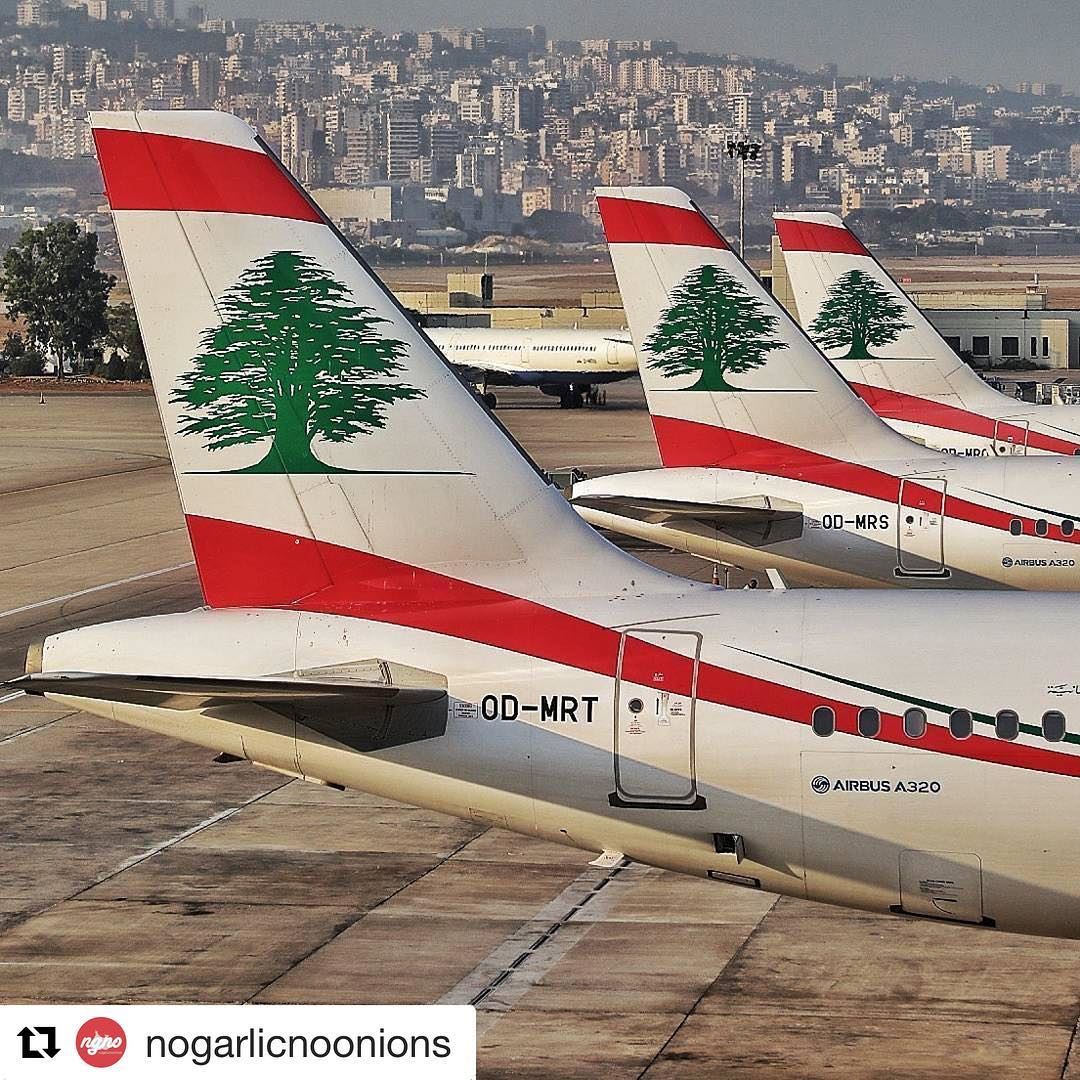 🇱🇧 Bandeira libanesa nos aviões da companhia aérea nacional. Orgulho! ... (Beirut–Rafic Hariri International Airport)