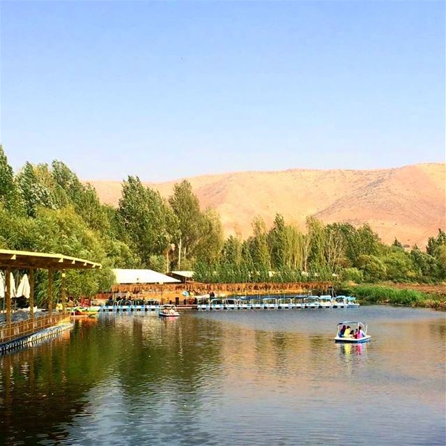  barelias  bekaa  lake  trees  livelivebekaa  summervibes  lebanontimes ... (Bar Elias, Béqaa, Lebanon)