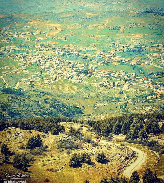  Barouk cedars chouf lebanon beirut... (Arz el Bâroûk)