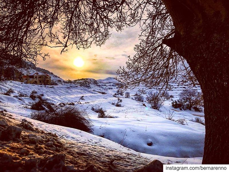  barouk  chouf  lebanon  snow   livelovelebanon  livelovechouf ... (Bâroûk, Mont-Liban, Lebanon)