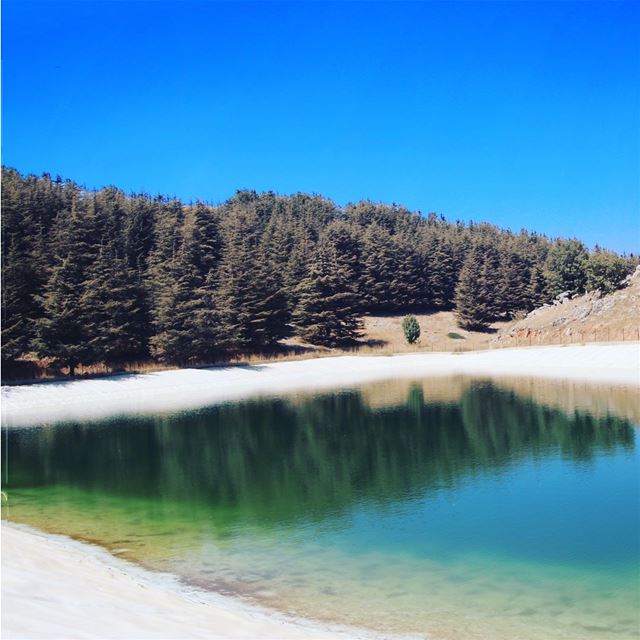 Barouk Hill-Lake 💙 • pan·o·ram·ic /1/ • ➡️Swipe to see 💚 panoramic ... (Arz el Bâroûk)