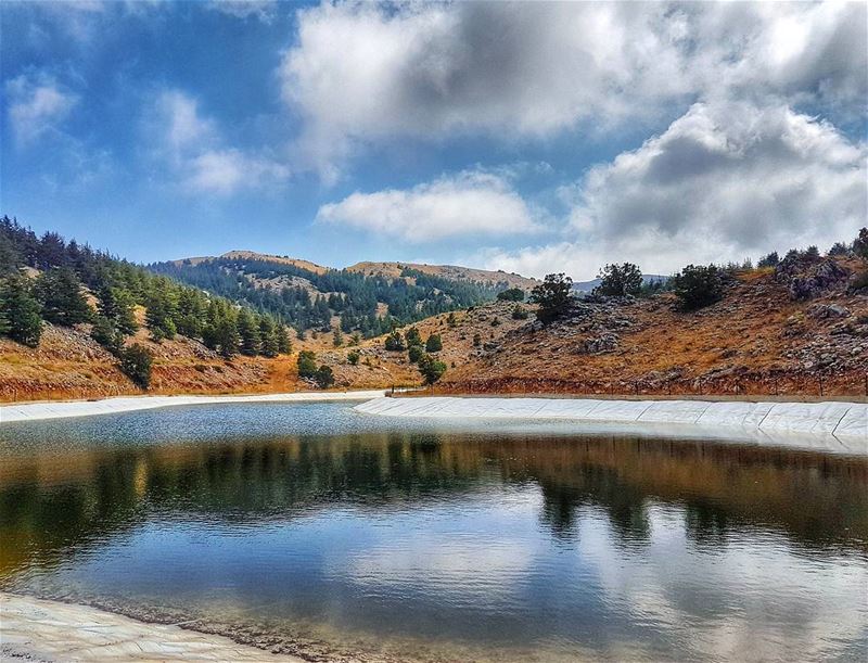 Barouk lake  lake  naturephotography  landscape  landscapephotography ... (Arz el Bâroûk)