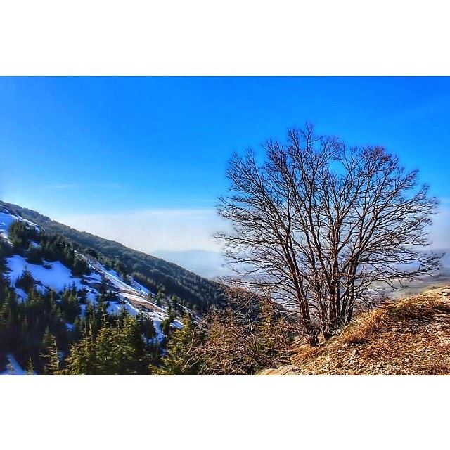  barouk  lebanon  landscape ...