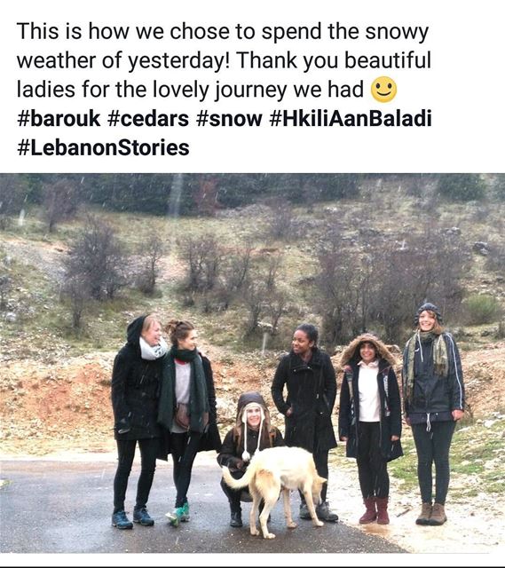  barouk  snow  cedars  privatetour HkiliAanBaladi  LebanonStories  ...