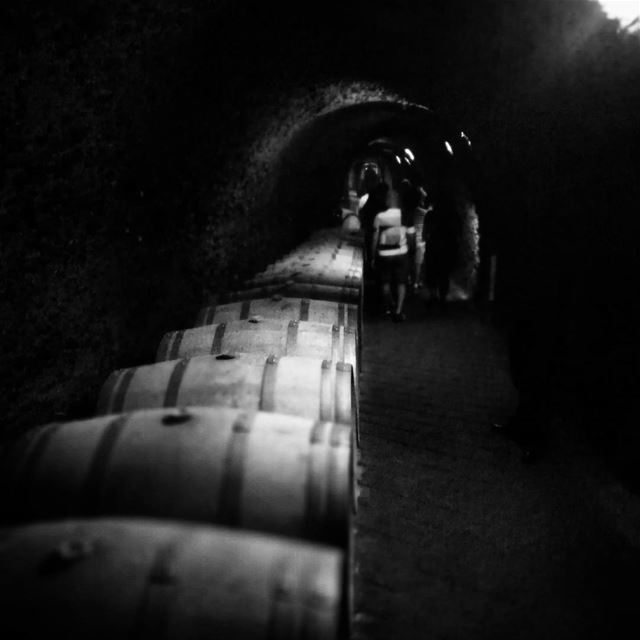 Barrels underworld -  ichalhoub in  Ksara  Beqaa  Lebanon /  wine ...