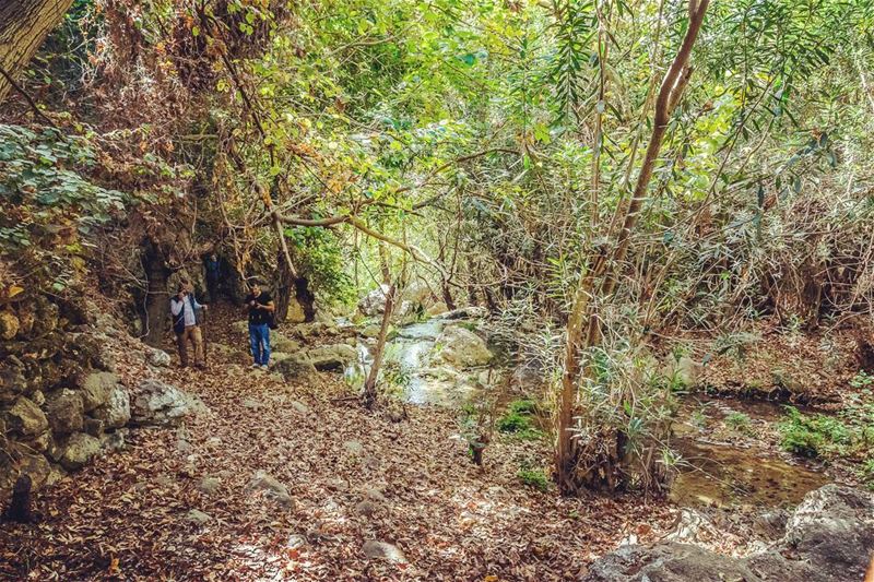 Barti__________________________________________... (Barti, Liban-Sud, Lebanon)