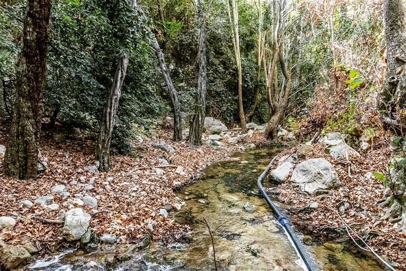 Barti__________________________________________... (Barti, Liban-Sud, Lebanon)