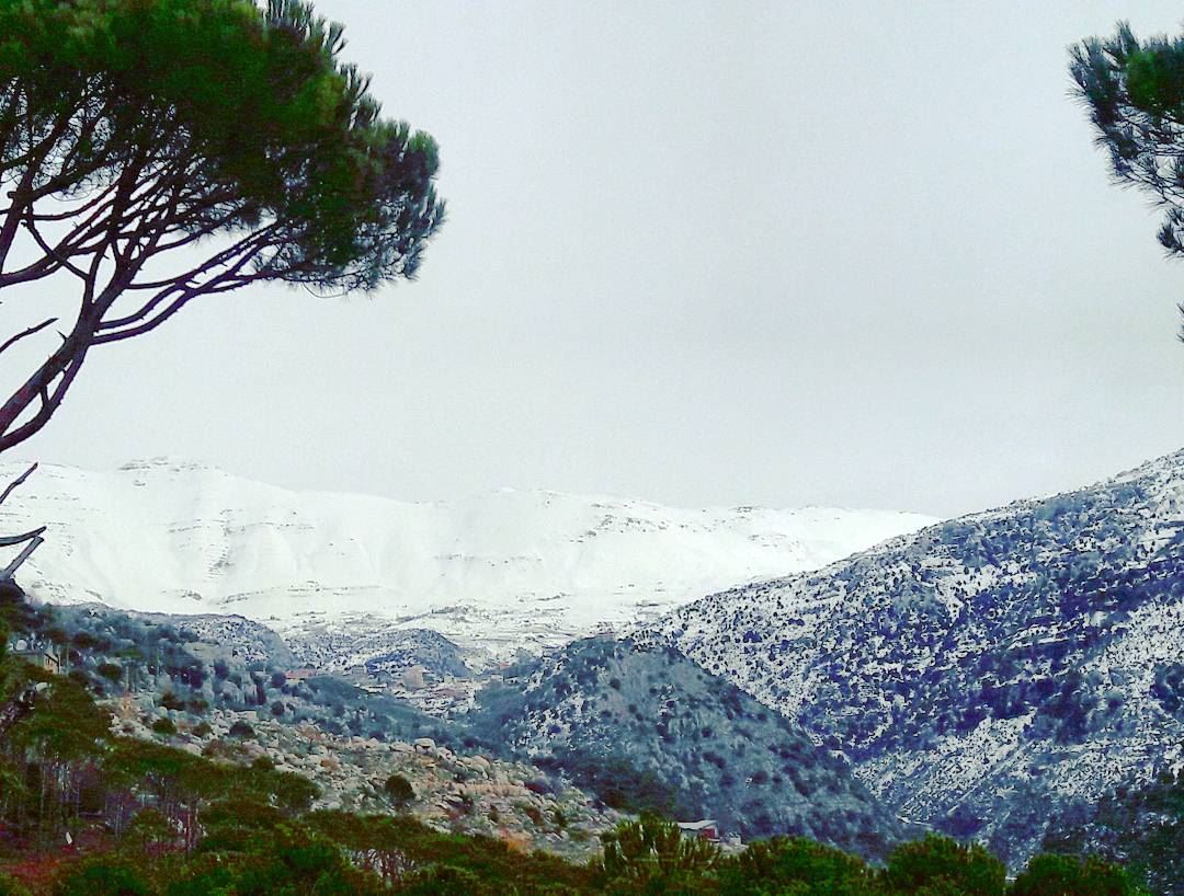 Baskinta  Lebanon  Lebanese   AlMaten  Sannine   landscape  Trees  Snow  ... (Baskinta, Lebanon)