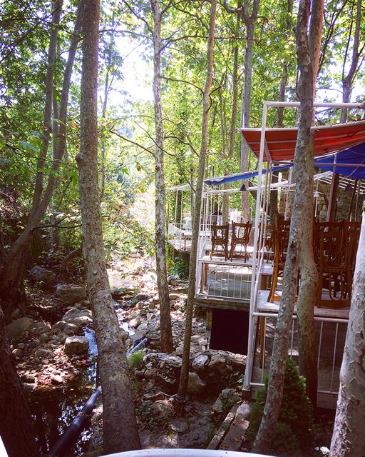  baskintalebanon ... (Baskinta, Lebanon)
