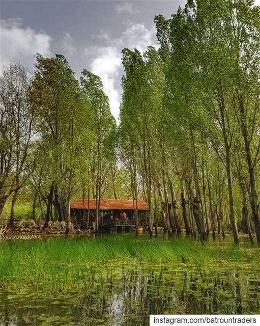  batroun  abdelli  village  meghrak  bebatrouni  lebanon  northlebanon ... (Abdelli, Liban-Nord, Lebanon)