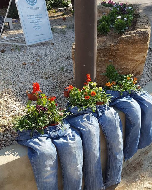  batroun  Batroun_Spring_Flower_Festival  preparations  21_22_23_april ... (Batroun Public Garden)