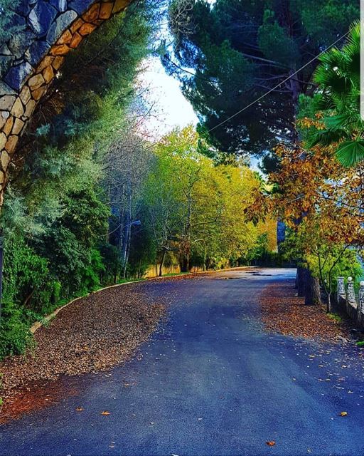  batroun  beitchelala  village  البترون_سفرة  nature  bebatrouni  lebanon ... (Beit Chléla, Liban-Nord, Lebanon)