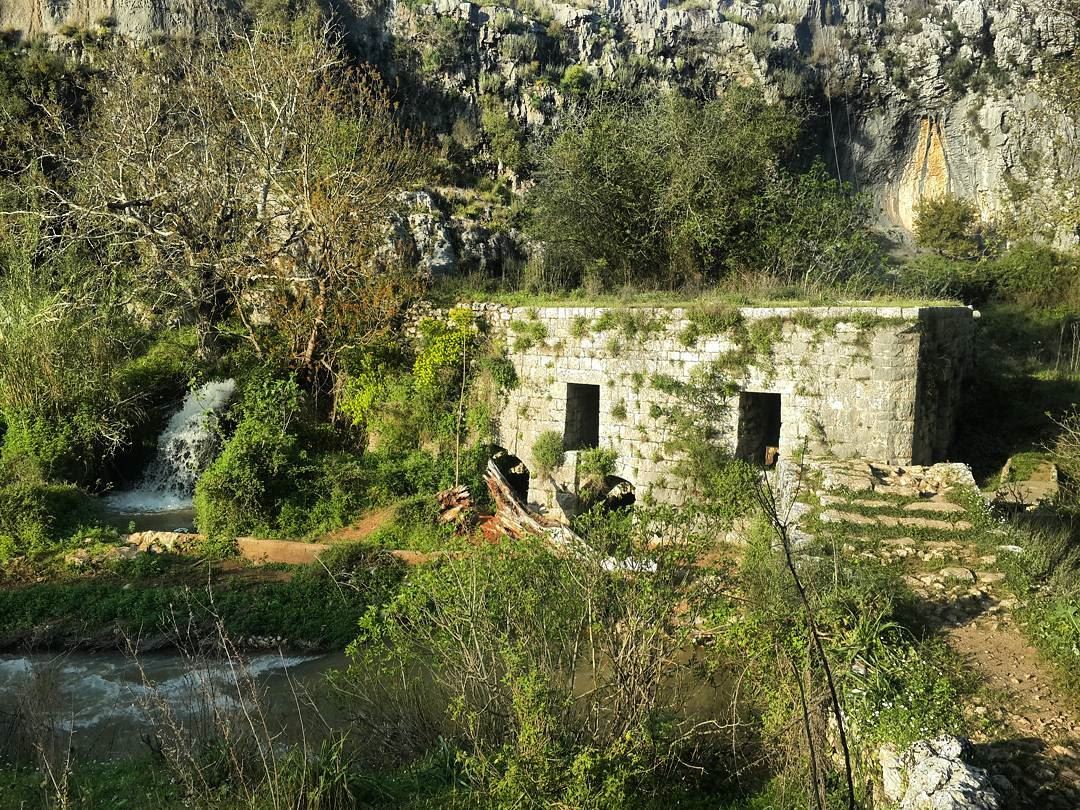  batroun has plenty to  explore! join us this sunday 9 april to  hike the...