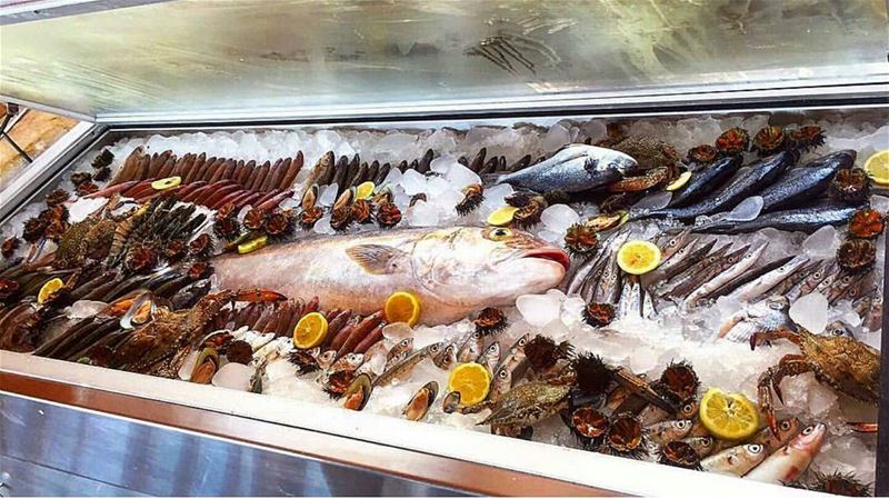  batroun  kaptn  beach  restaurant  seafood  fish  mediterranean  cuisine ... (Kaptn)