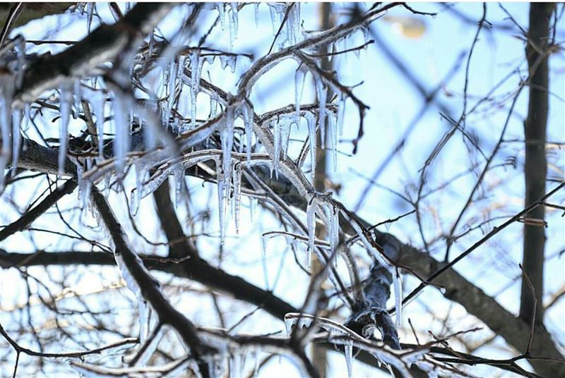 batroun  mehmarch  village  winter  freeze  cold  bebatrouni  lebanon ... (Mehmarch)