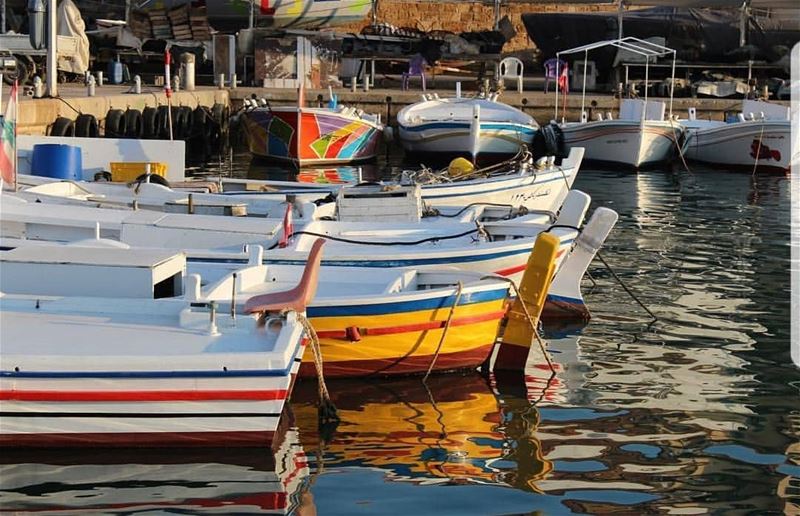  batroun  mina  marina  fishing  boat  sea  mediterraneansea  batrounbeach... (Batroûn)