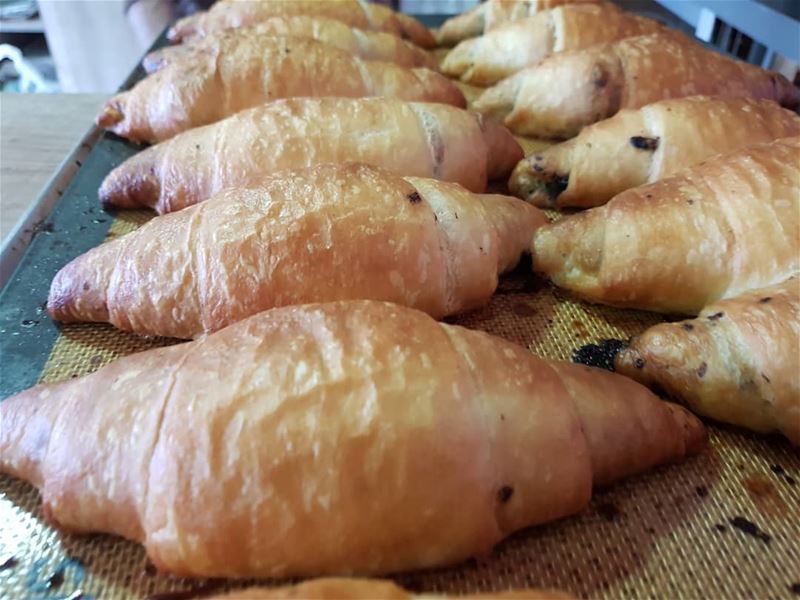  batroun  morning  breakfast  croissant  البترون_سفرة  bebatrouni  lebanon... (Batroûn)