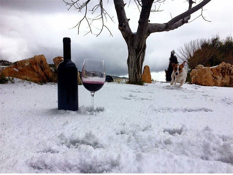  batroun  nehla  village  wine  vintage  vineyards  snow  snowtime ... (Nahlah, Liban-Nord, Lebanon)