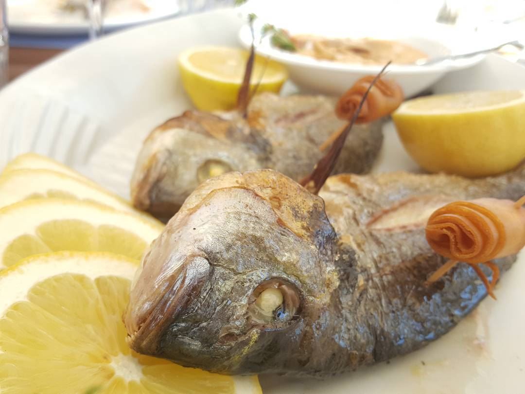  batroun  restaurants  delmar @sanstephanoresort  fish  seafood ... (San Stephano Resort - Batroun)