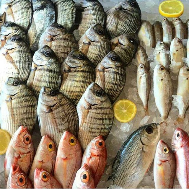  batroun  restaurants  kaptn  freh  fish  seafood  mediterranean  cuisine ... (Kaptn)