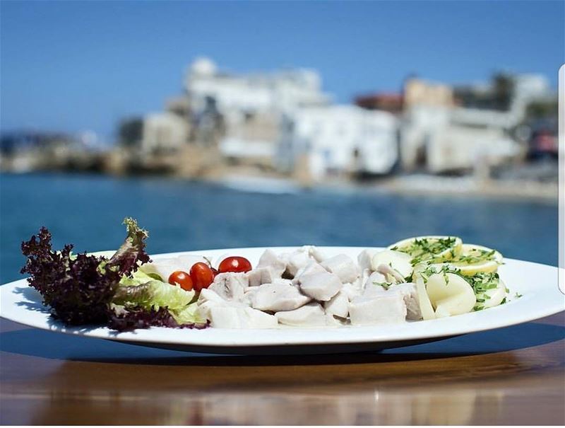  batroun  restaurants  lemarin  fish  seafood  foodlover  sea ... (Le marin restaurant)