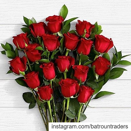  batroun  valentine  valentine_is_coming   red  rose  love  البترون_سفرة ... (Batroûn)