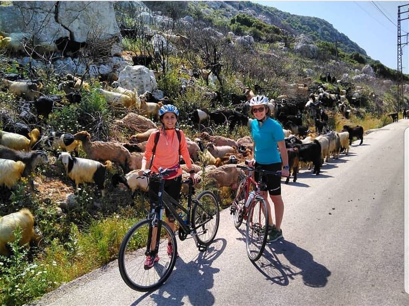  batroun  wejelhajar  village  bicycle  bikelife  sport  bebatrouni ... (Wejj El Hajar)