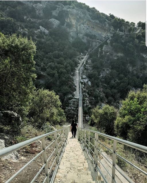  batroun  البترون_سفرة  hiking  nature  msaylha  path  pathway  bebatrouni... (Batroûn)