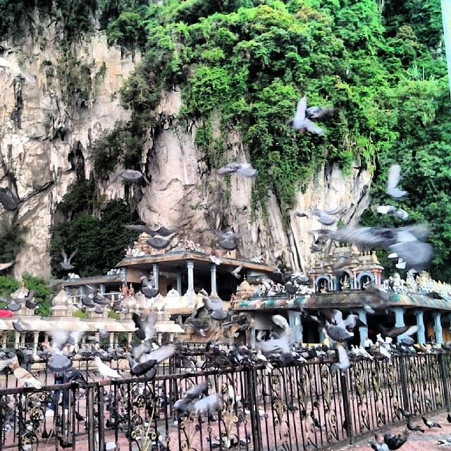Batu caves, Kuala Lumpur, Malaysia. BatuCavea  Bigcities  igersMalaysia ...