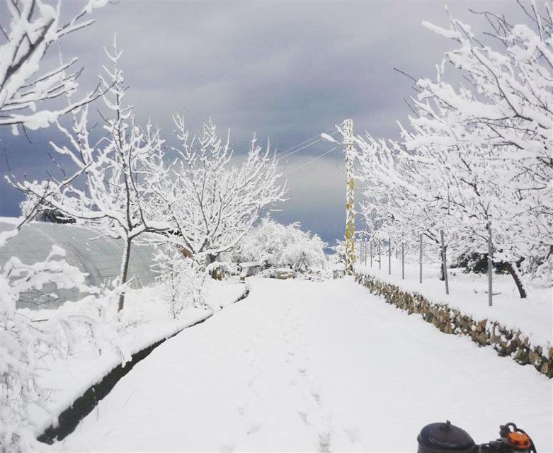  bazbina lebanon nature snow explore  exploretocreate akkar mounrains view... (Bazbîna, Liban-Nord, Lebanon)
