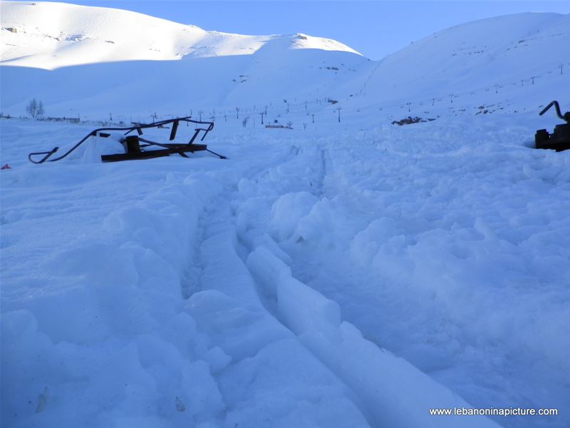 Bcharre and Cedars in Winter 2011