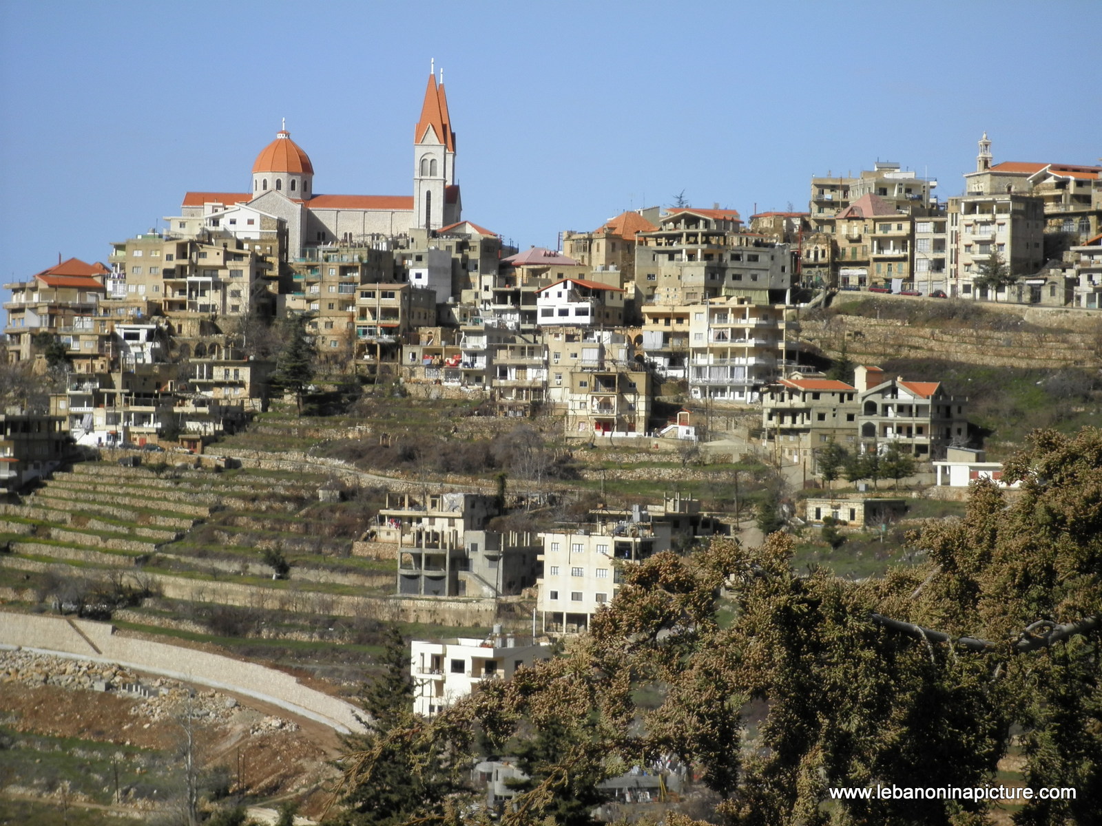 Bcharre and Cedars in Winter 2011