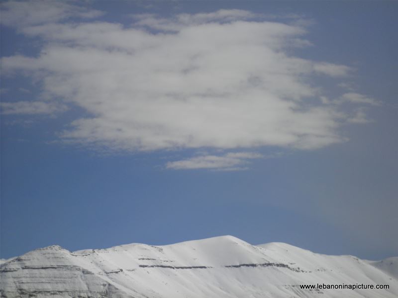 Bcharre and Cedars in Winter 2011