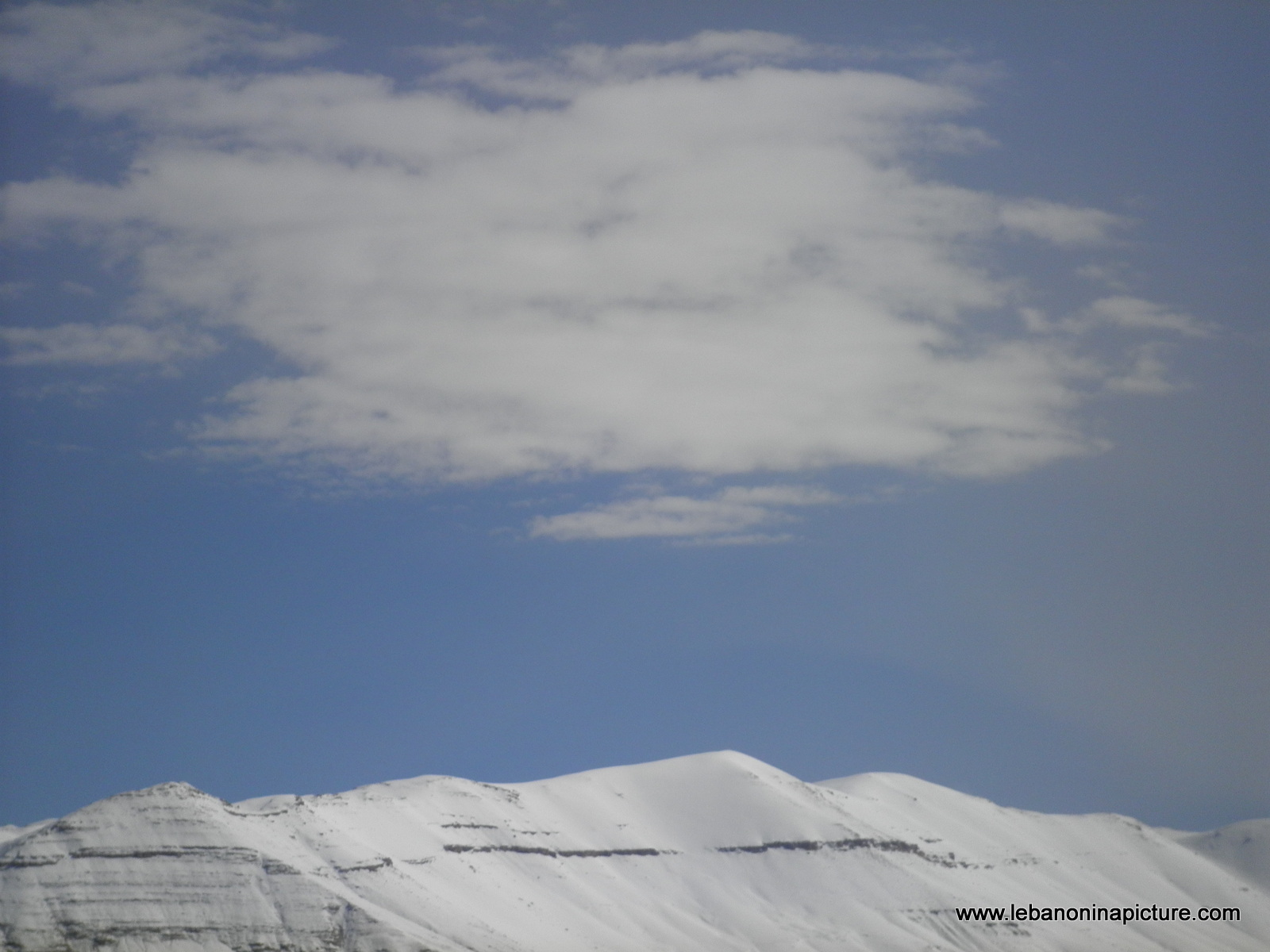 Bcharre and Cedars in Winter 2011