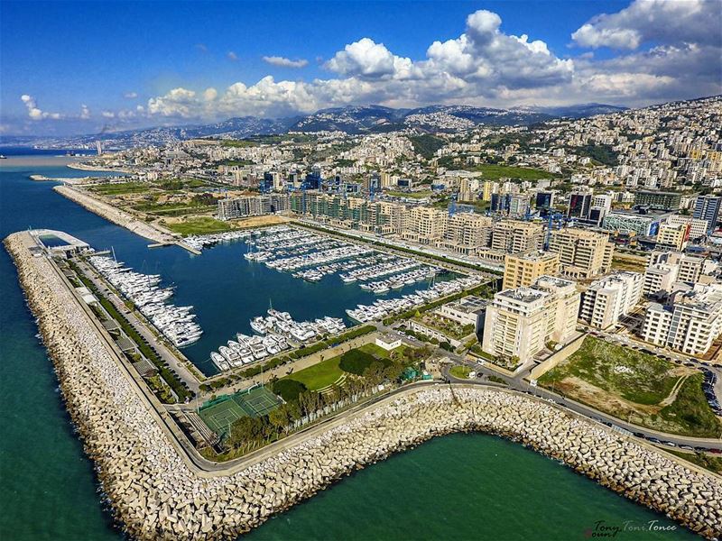 "Be a bush if you can’t be a tree. If you can’t be a highway, just be a... (Dbayeh, Mont-Liban, Lebanon)