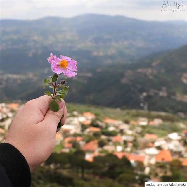 Be Brave enough to Heal Yourself even When it Hurts 🥀... Hseiki ... (Dfoûn, Mont-Liban, Lebanon)