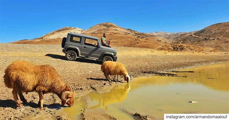 Be daring, be different, be impractical..... Jimny  suzukijimny ... (Lebanon)