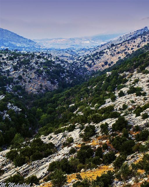 Be gentle first with yourself if you wish to be gentle with others.© Lama... (`Aramtá, Al Janub, Lebanon)