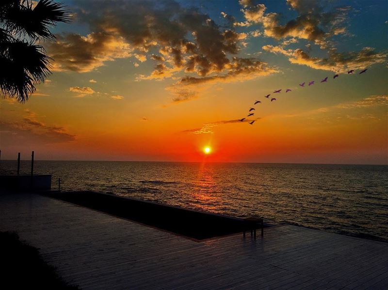 " Be Here For This Life...Feel It All As You Are Meant To,The Highs And... (Batroun Beach)