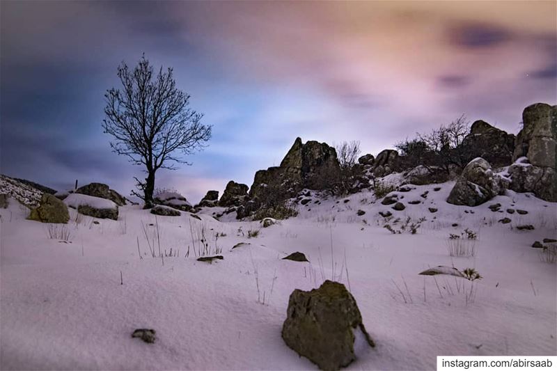 BE LIKE A TREE Soak up the sunAffirm life’s magicBe graceful in the... (Bmahray, Mont-Liban, Lebanon)