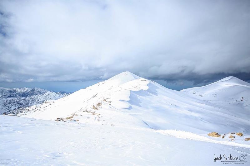 Be like the snow, cold but beautiful ❄️❄️❄️ (Jered Tannourine)
