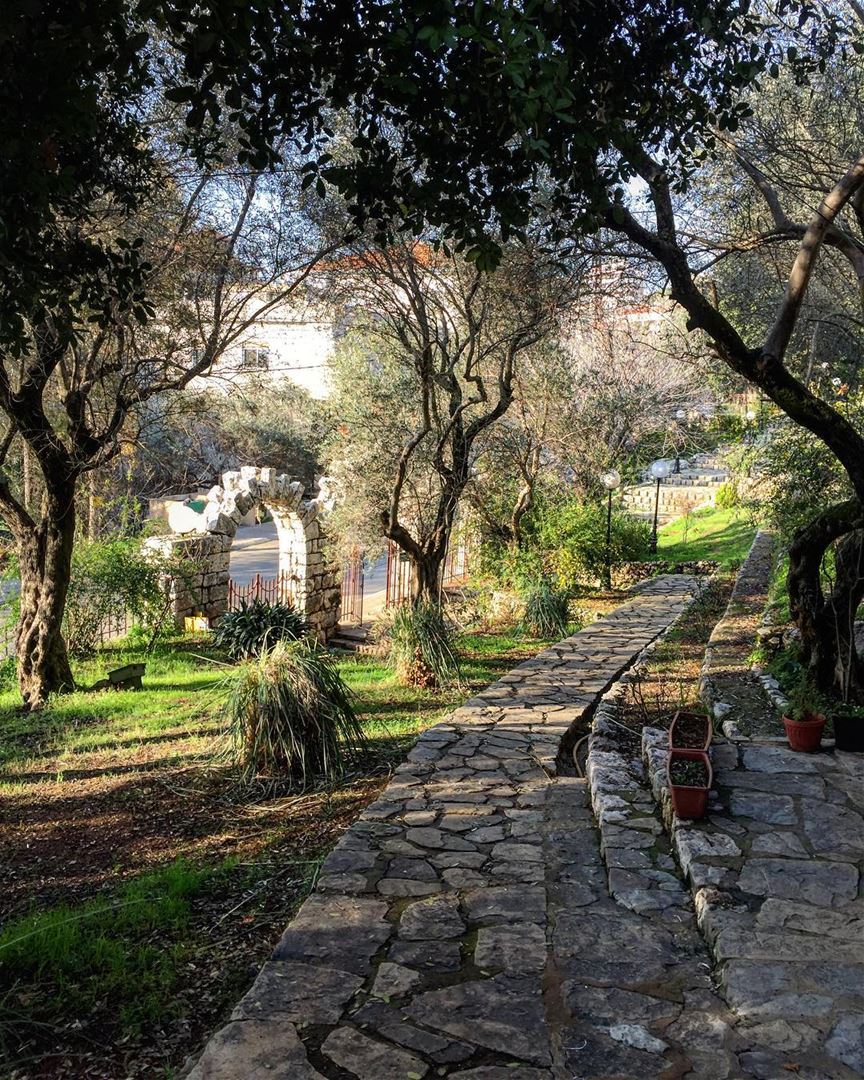 Be pleased to walk Alone 🍃  mothernature  walk  green  discover ... (Ballouneh, Mont-Liban, Lebanon)
