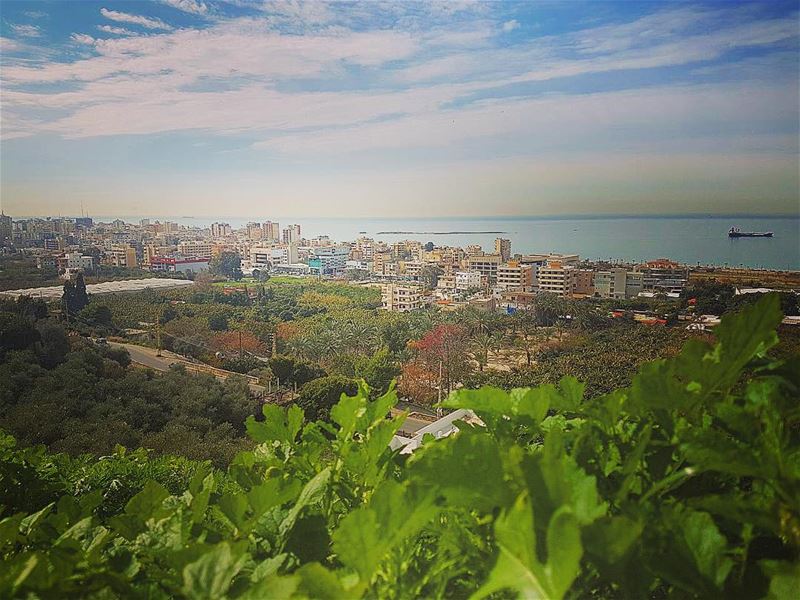 Be proud of your hometown 🏡, it’s a big part of what makes you the person... (Saïda, Al Janub, Lebanon)