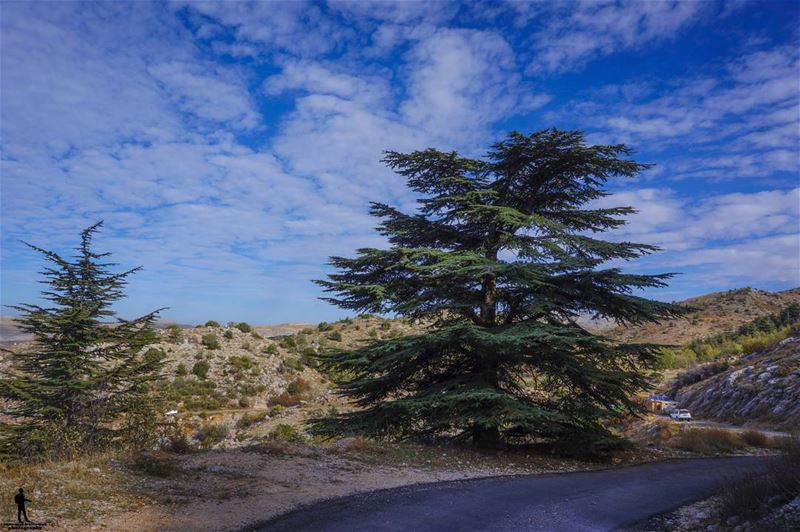 Be proud of yourself for how far you've come and never stop pushing to be... (Cedars Ground Campsite)