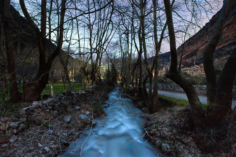 Be still like a  mountain and flow like a great  river 🏔💦🌿 (Tannurin At Tahta, Liban-Nord, Lebanon)