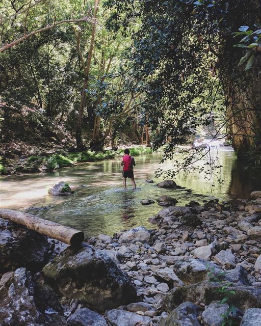 Be strong enough to walk away from what’s hurting you, and be patient... (Chouène, Mont-Liban, Lebanon)