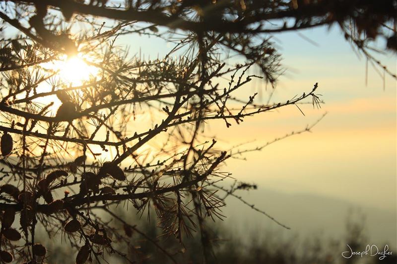 😇Be true to yourself, help others, make each day your masterpiece, make... (Ehden, Lebanon)