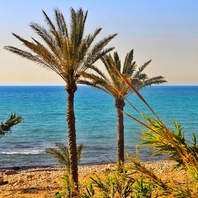  beach  damour  lebanon  liveloveleb  Beirut  whatsuplebanon  blue ...