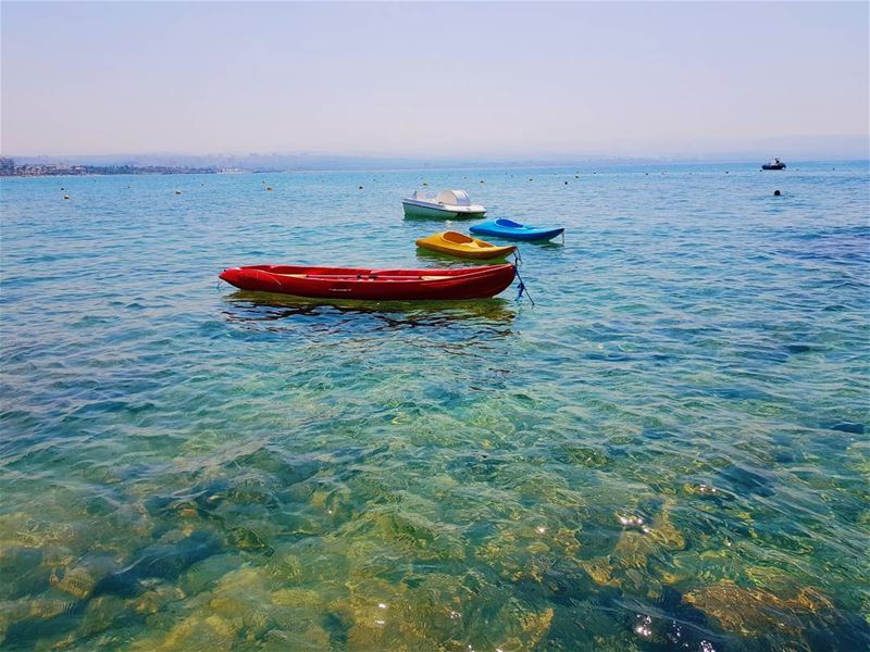 Beach days always 💚🐳  Bonjour...... beach  nature  livelovenature... (Tyre, Lebanon)